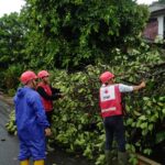 Puluhan Bangunan di Pangkalpinang Diterjang Puting Beliung, Relawan PMI Babel Gercep
