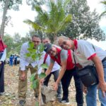 Sambut HUT ke-78, PMI Pangkalpinang Tanam Bibit Pohon